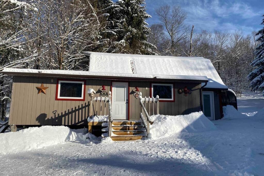 Roscoe Cottage Pet Friendly エクステリア 写真